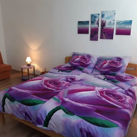 Apartman Olmik Apartment